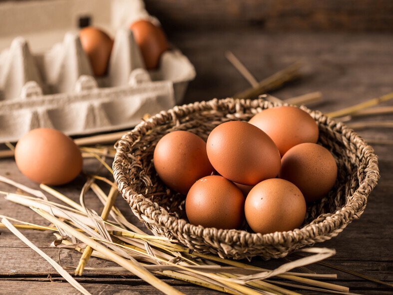 5 faktov, ktoré ste o vajciach nevedeli